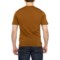 4DVNK_2 SmartWool Merino Wool T-Shirt - Short Sleeve