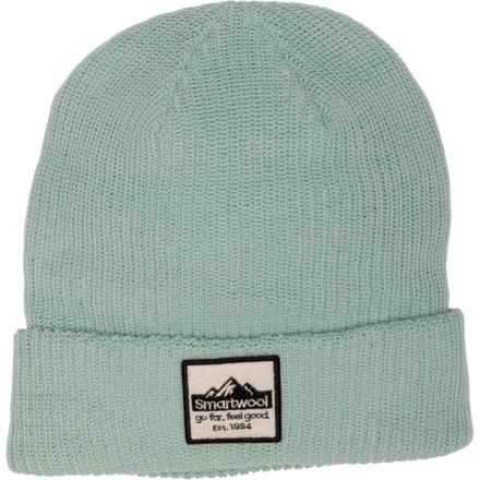 SmartWool Patch Beanie - Merino Wool in Arctic Green