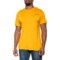 SmartWool Rise Sport T-Shirt - Merino Wool, Short Sleeve in Honey Gold