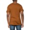 3JMRW_2 SmartWool River Van Sport Graphic T-Shirt - Merino Wool, Short Sleeve
