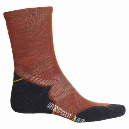 SmartWool Run Cold-Weather Targeted Cushion Socks - Merino Wool, Crew (For Men and Women) in Picante