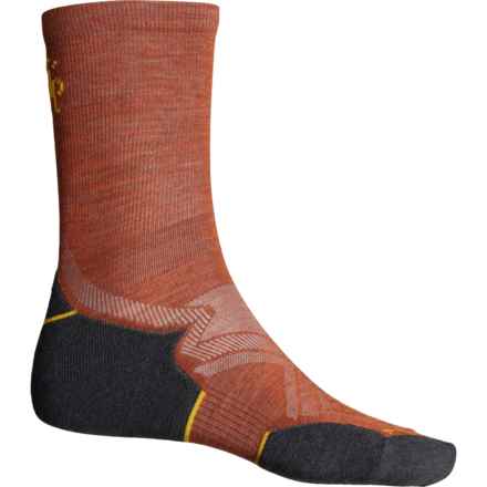 SmartWool Run Cold-Weather Targeted Cushion Socks - Merino Wool, Crew (For Men and Women) in Picante