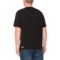 3JMTD_2 SmartWool Sport Ultralite Graphic T-Shirt - Merino Wool, Short Sleeve