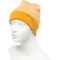 2RMWN_2 SmartWool Thermal Reversible Pattern Cuffed Beanie - Merino Wool