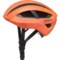 2WCXG_3 Smith Network Road Bike Helmet - MIPS (For Men and Women)