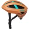 2WCXH_3 Smith Network Road Bike Helmet - MIPS (For Men and Women)