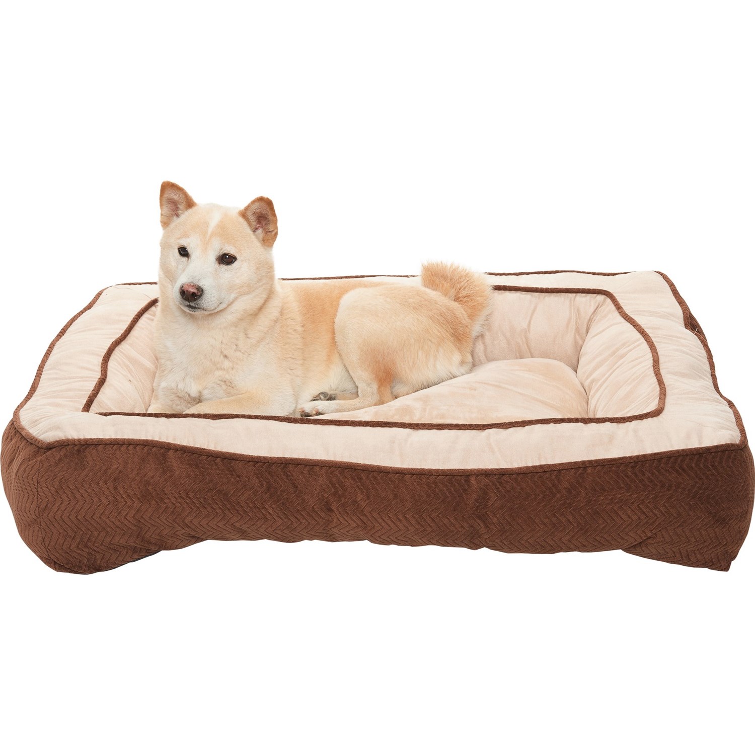 dog cot with bolster