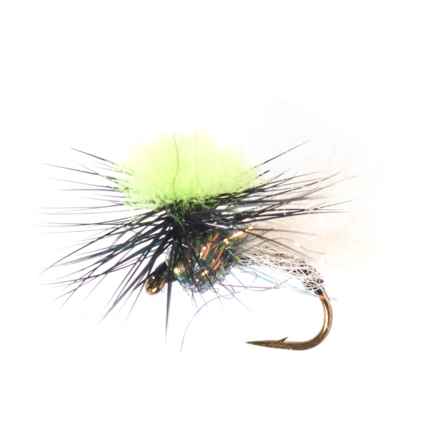SOLITUDE FLY COMPANY Morris Thunder Dome Nymph Fly - Dozen in Natural