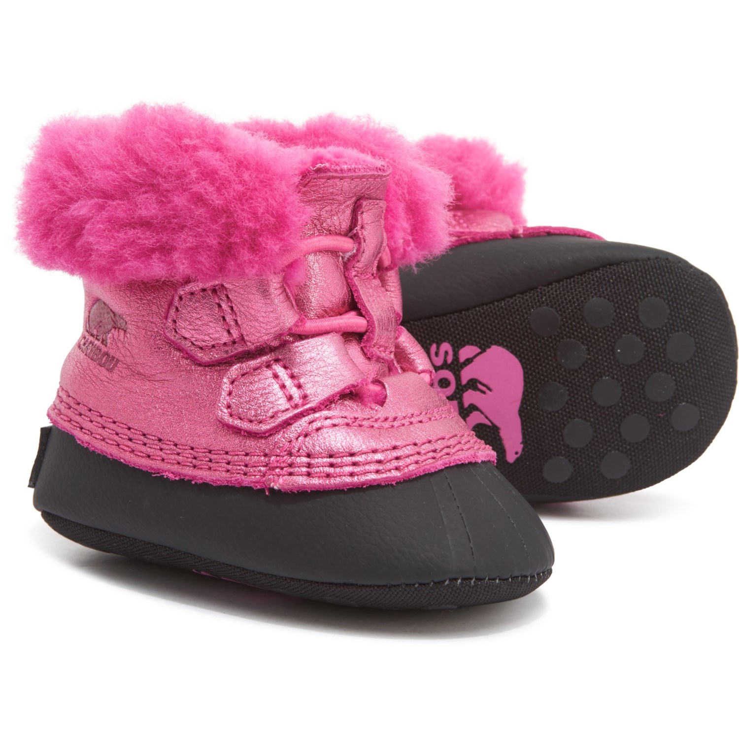 baby sorels