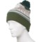 3CWHD_2 Spacecraft Collective Mountain Pom Beanie (For Men)
