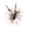 8437P_2 Specially made Mosquito Dry Fly - Dozen