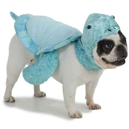 Spooky Night Sea Turtle Dog Costume in C1 Aqua