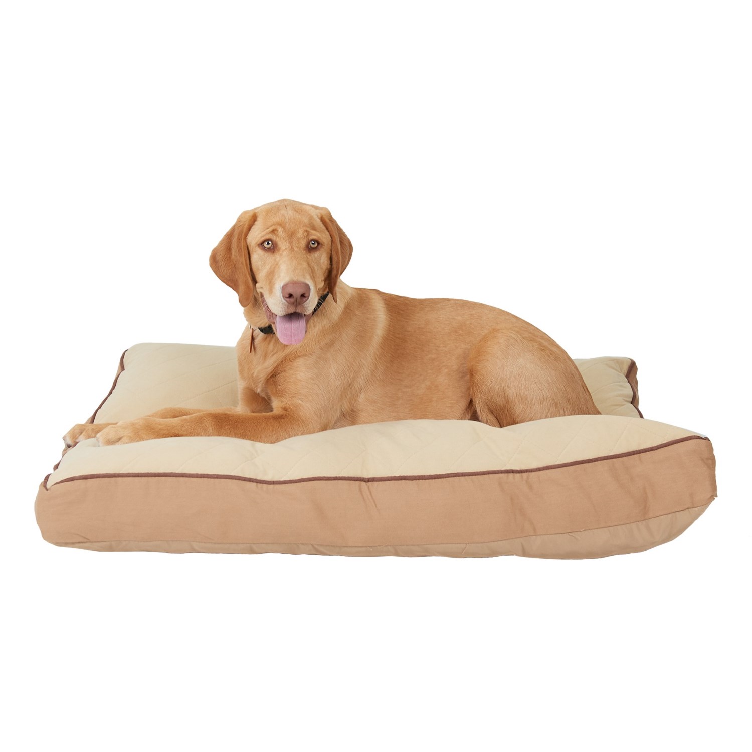 Sporting Dog Solutions Rectangle Dog Bed Large, 36×27”