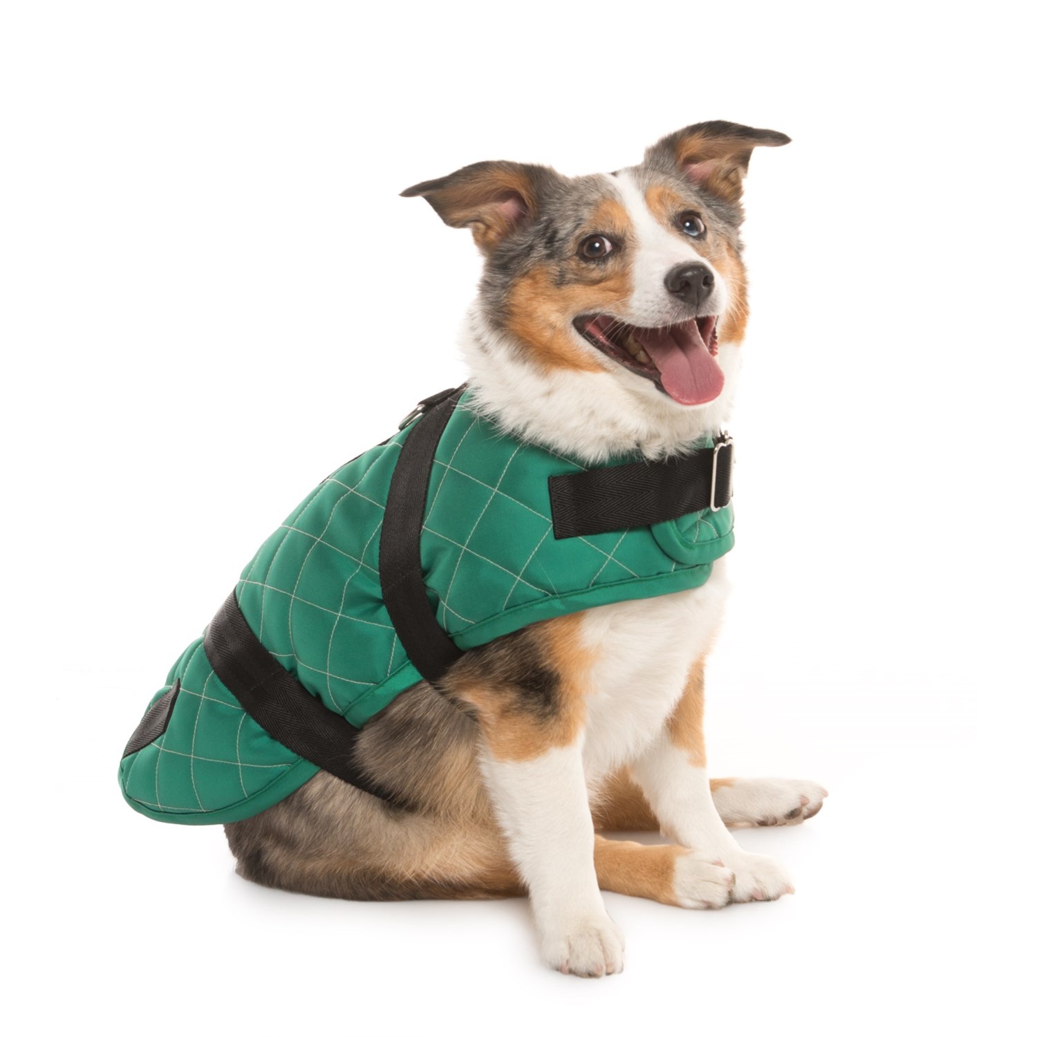 Spot On Dog Quilted Horse Blanket Dog Coat Medium