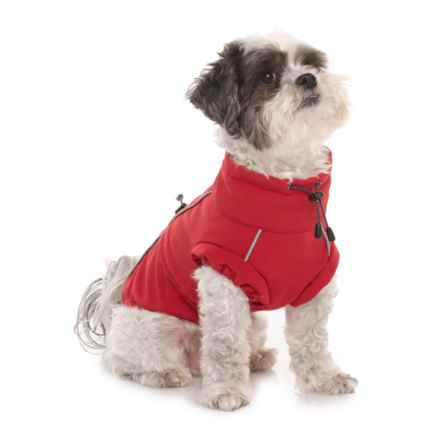 gifts for pets average savings of 32 at sierra trading post pg 9