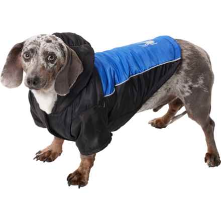 Spyder Hooded Dog Jacket - Insulated in Blue/Black