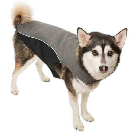 Spyder Outbound Dog Sweater - Insulated, Large in Gray