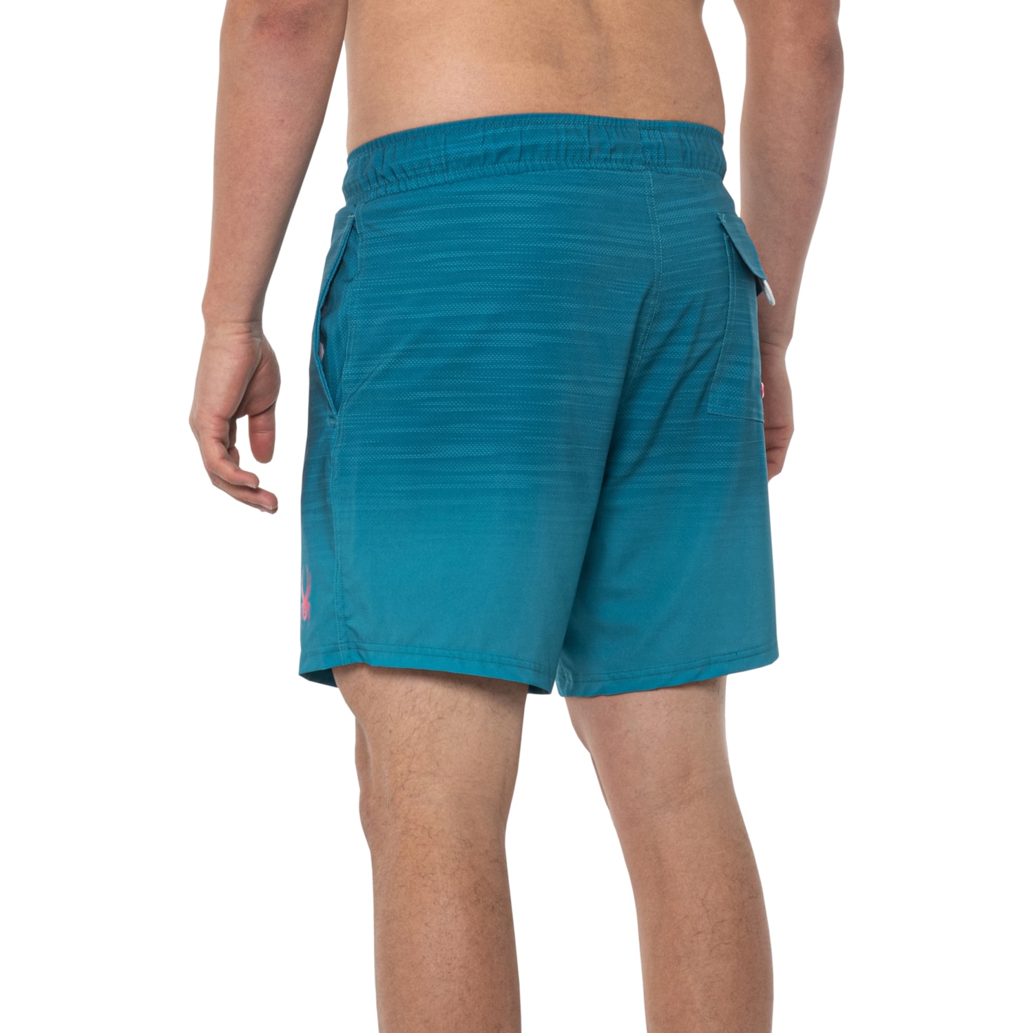 Spyder Stripe Volley Shorts (For Men)