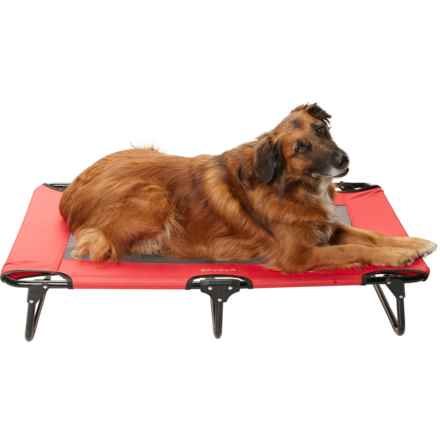 Spyder Travel Pet Cot - 42x24” in Red