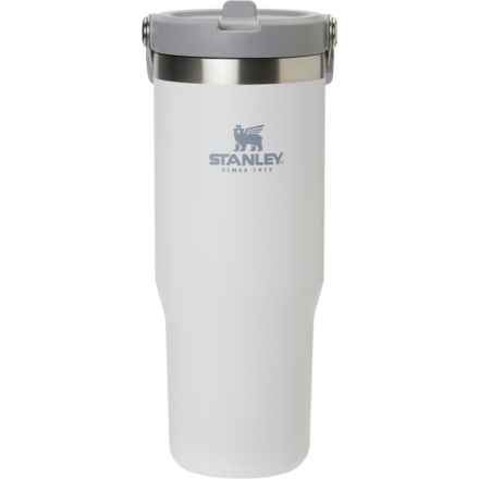 Stanley Classic Flip Straw Water Jug - 30 oz. in Polar
