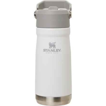 Stanley Classic IceFlow Flip-Straw Water Bottle - 17 oz., Vacuum-Insulated Stainless Steel in Polar