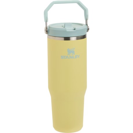 Stanley IceFlow with Flip Straw Tumbler - 30 oz. - Save 42%