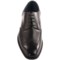 9154V_2 Steve Madden Lanford Wingtip Shoes (For Men)
