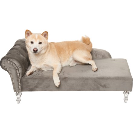 tainoki pet bed