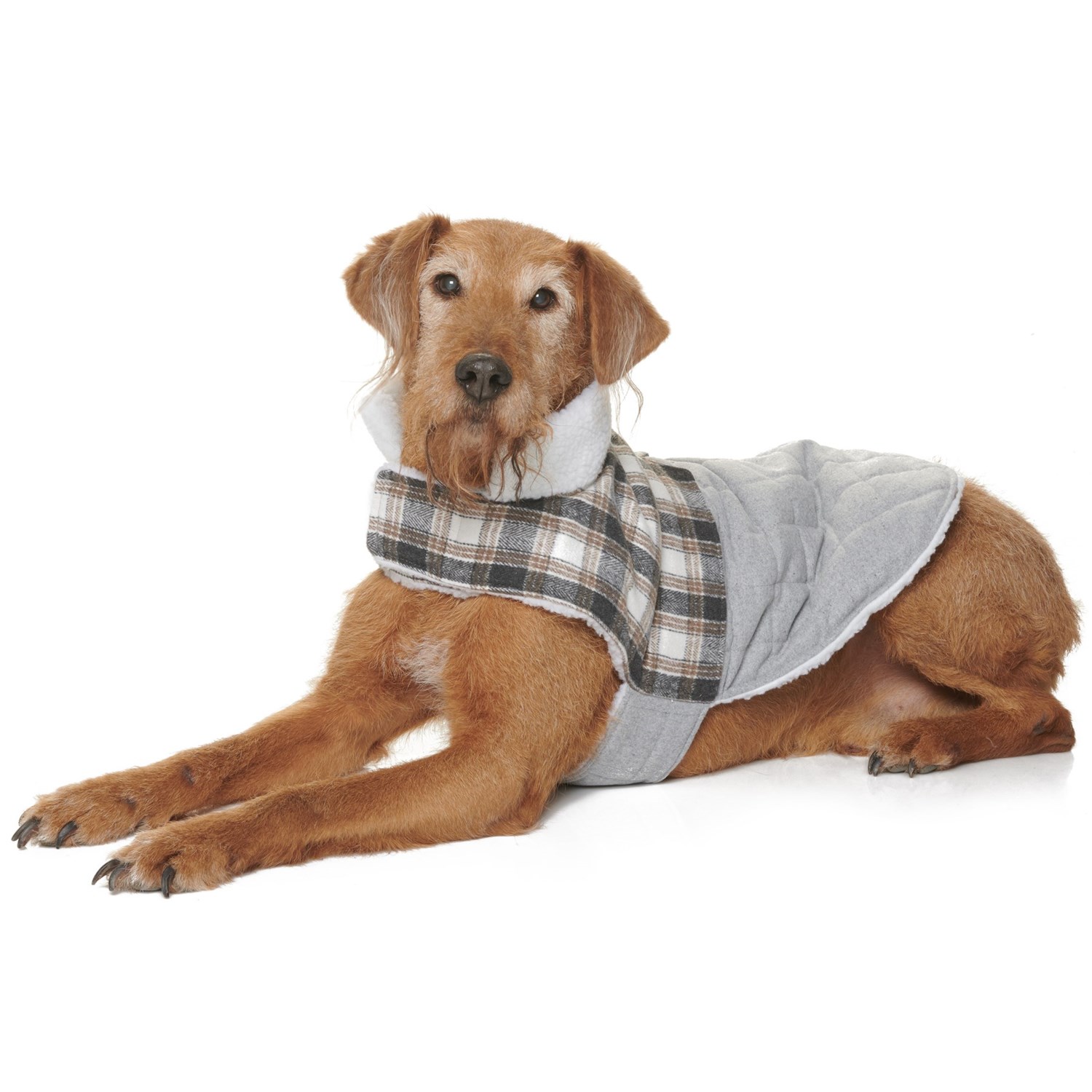 telluride clothing company dog coat