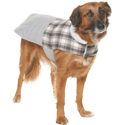 telluride dog sweater