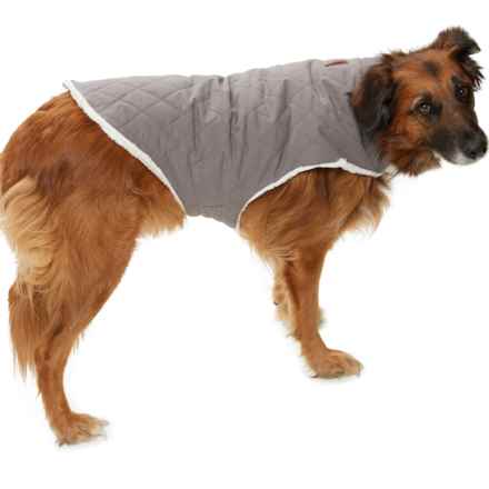 Telluride Clothing Company Arthur Quilted Canvas Dog Jacket in Gry