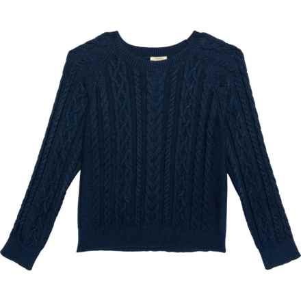 Telluride Clothing Company Big Boys Cable-Knit Sweater in Navy