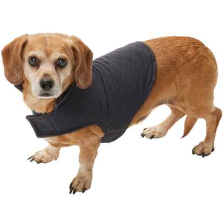 Telluride Clothing Company Manny Reversible Dog Jacket - Extra Small-Small in Charcoal