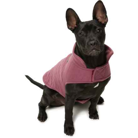 Telluride Clothing Company Manny Reversible Dog Jacket - Extra Small-Small in Mauvewood