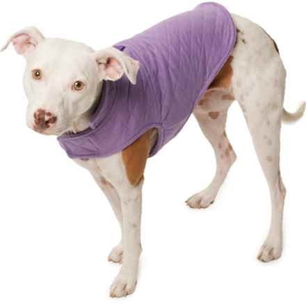 Telluride Clothing Company Manny Reversible Dog Jacket - Extra Small-Small in Purple