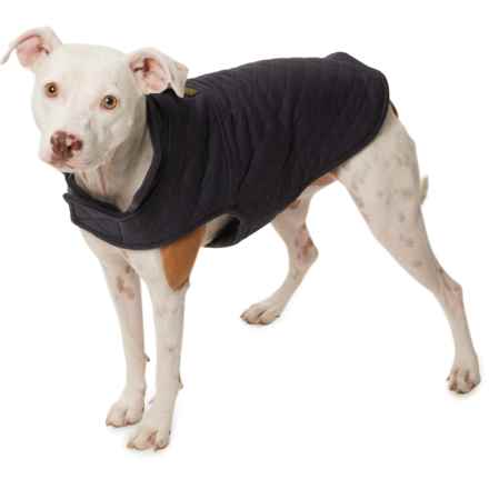 Telluride Clothing Company Manny Reversible Dog Jacket - Medium-Large in Charcoal