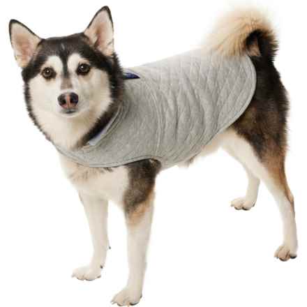 Telluride Clothing Company Manny Reversible Dog Jacket - Medium-Large in Tonal Grey