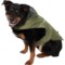 Telluride Clothing Company Utility Dog Rain Jacket - XL in Olive