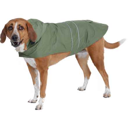 Telluride Clothing Company Utility Dog Rain Jacket - XXL in Olive