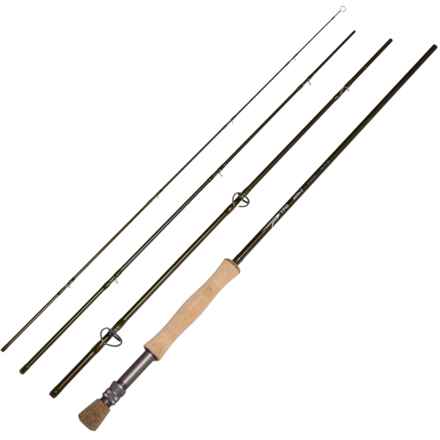 Temple Fork Outfitters Axiom 2 Saltwater Fly Rod with Case - 10wt, 9’, 4-Piece in Multi