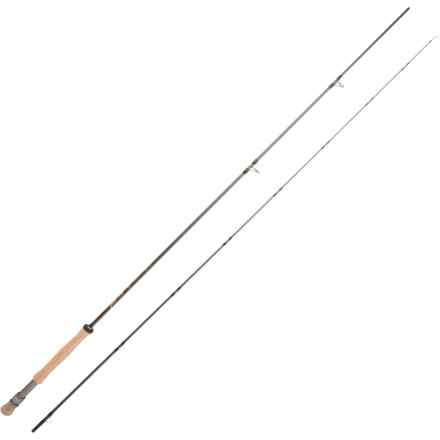 Temple Fork Outfitters Great Lakes Freshwater Fly Rod - 10wt, 9’, 2-Piece in Multi