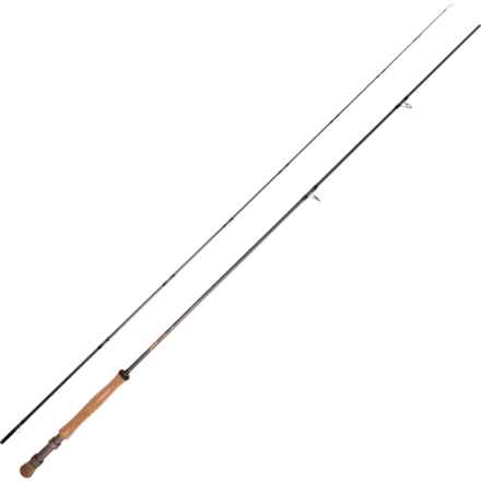 Temple Fork Outfitters Great Lakes Freshwater Fly Rod - 10wt, 9’, 2-Piece in Multi