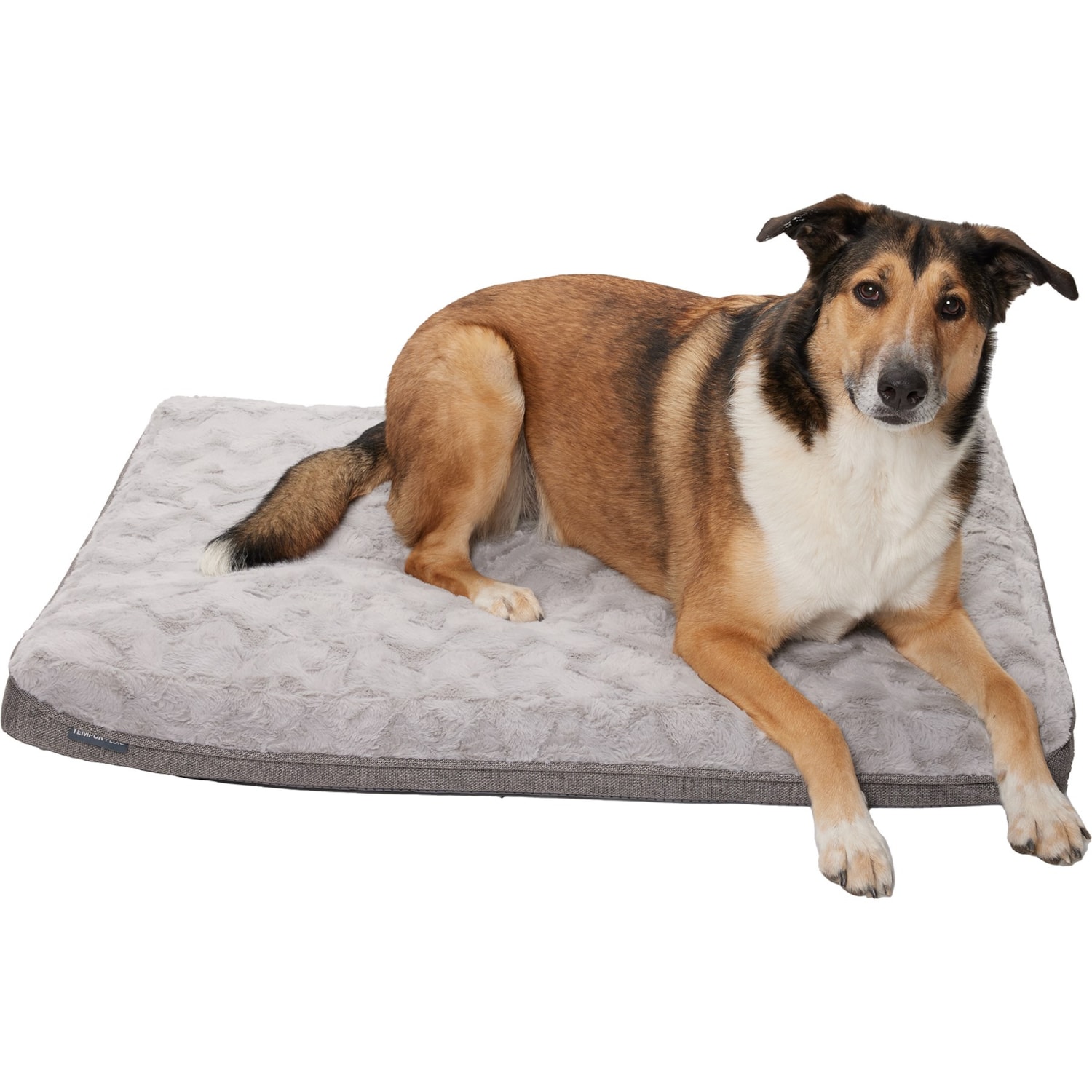 Top Paw® Orthopedic Memory Foam Quilt Mattress Dog Bed