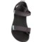 8FGCX_2 Teva Aliciela Sport Sandals (For Women)