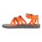560HJ_3 Teva Alp Sport Sandals (For Women)