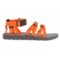 560HJ_4 Teva Alp Sport Sandals (For Women)
