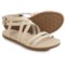 teva avalina crossover