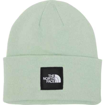 The North Face Big Box Beanie (For Men) in Misty Sage