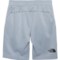 4GXWA_2 The North Face Big Boys Ampere Shorts