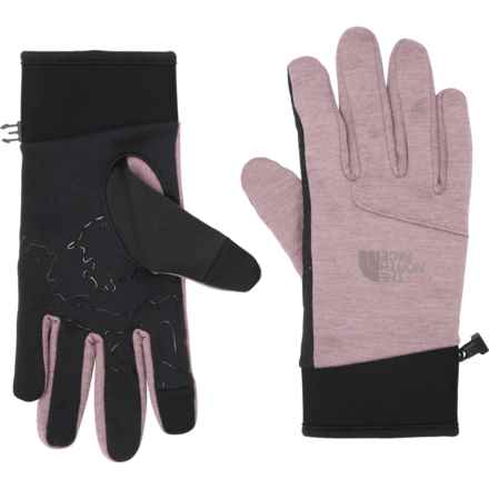 The North Face Canyonlands Etip® Gloves (For Men) in Fawn Grey Light Heather